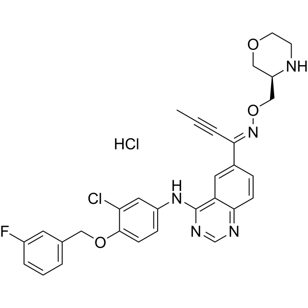 Epertinib hydrochlorideͼƬ