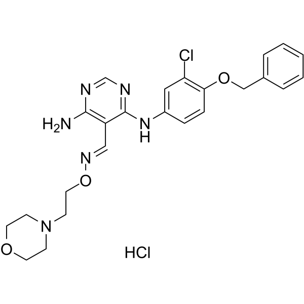 JNJ28871063 hydrochlorideͼƬ