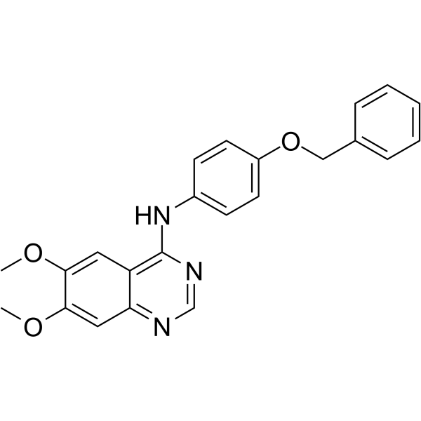 EGFR/ErbB-2/ErbB-4 inhibitor-2ͼƬ