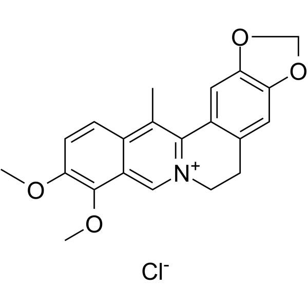 13-Methylberberine chlorideͼƬ