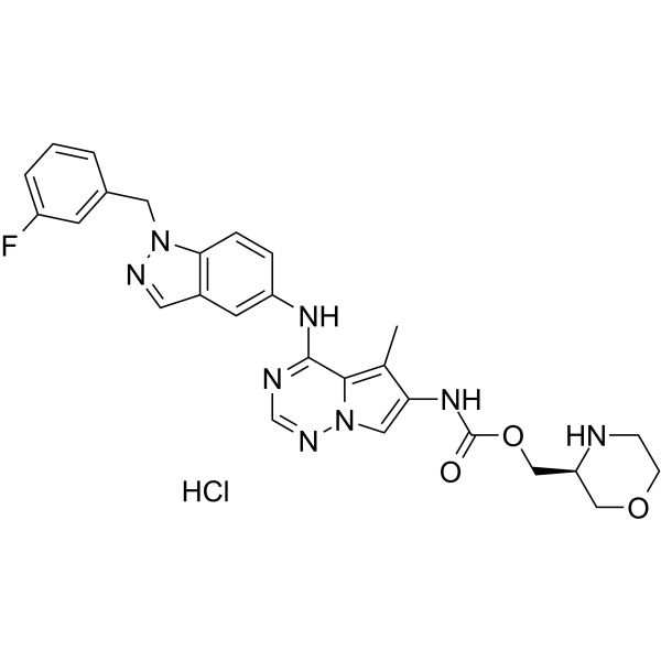 BMS-599626 Hydrochloride图片