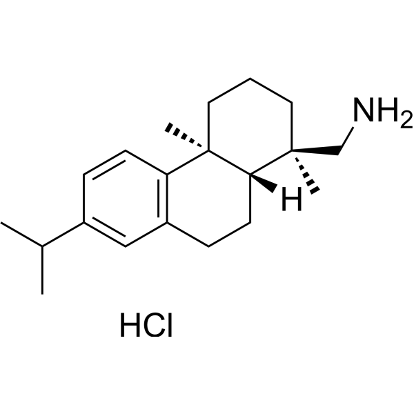 Leelamine hydrochlorideͼƬ