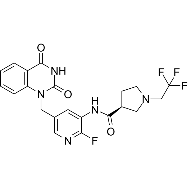 PARP-2-IN-1ͼƬ