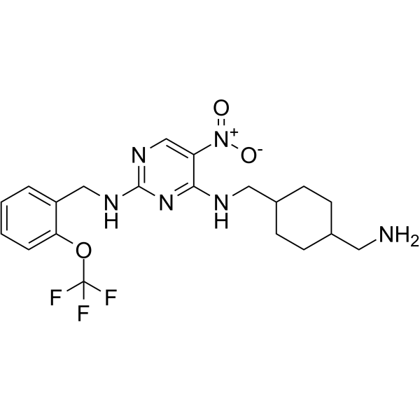 PKC-theta inhibitorͼƬ