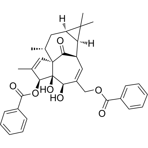 Ingenol 3,20-dibenzoateͼƬ