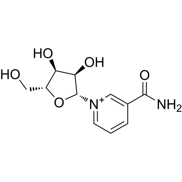 Nicotinamide ribosideͼƬ