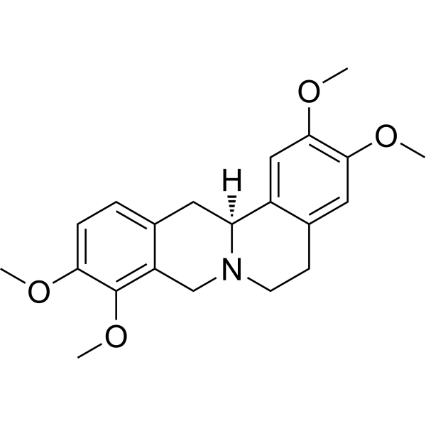 RotundineͼƬ