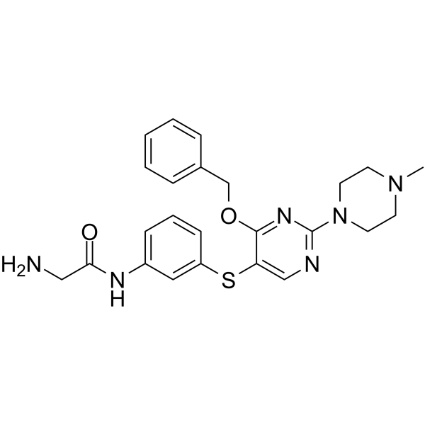 HSP70-IN-1ͼƬ