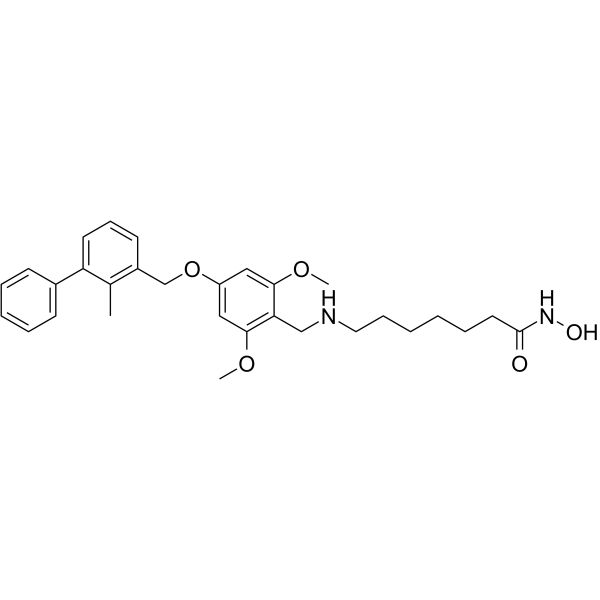 HDAC6-IN-4ͼƬ