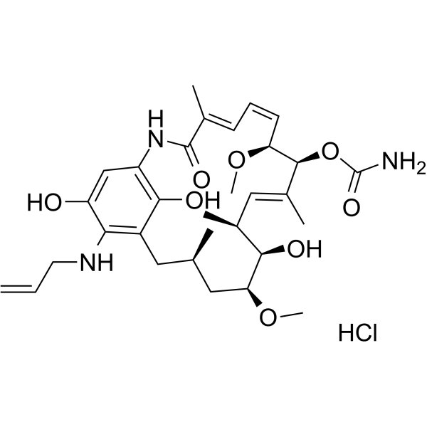 Retaspimycin HydrochlorideͼƬ