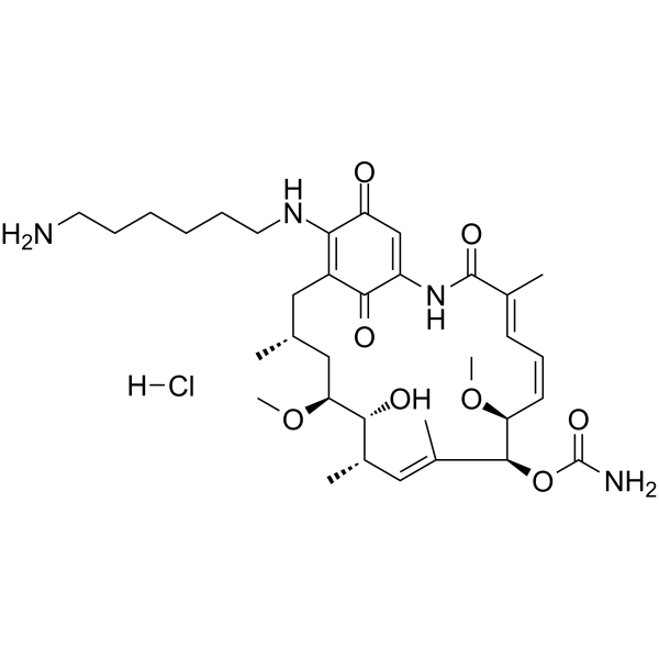 Aminohexylgeldanamycin hydrochlorideͼƬ