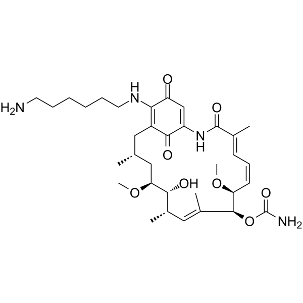 AminohexylgeldanamycinͼƬ