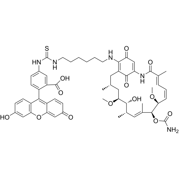 Geldanamycin-FITCͼƬ