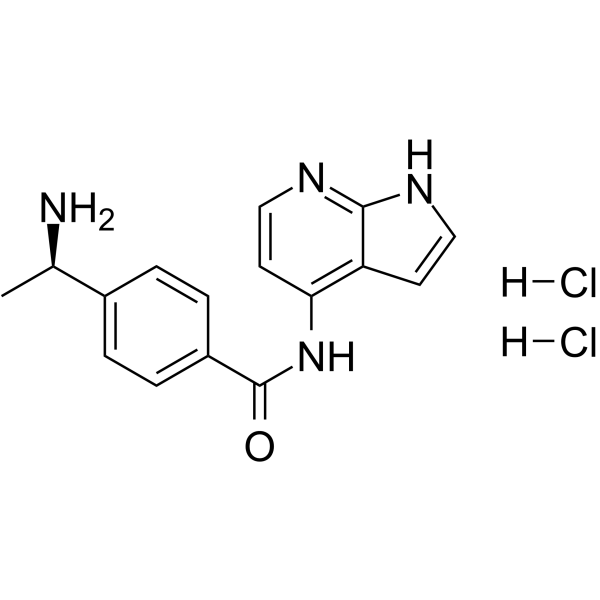 Y-33075 dihydrochlorideͼƬ