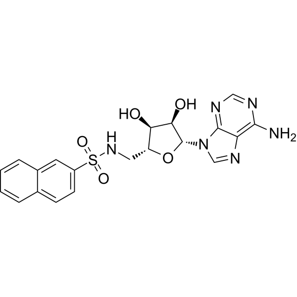 SARS-CoV-2 nsp14-IN-1图片