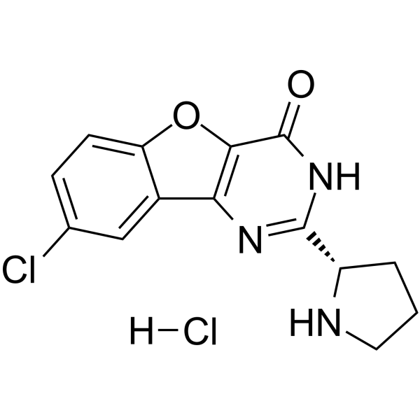 XL413 hydrochloride图片