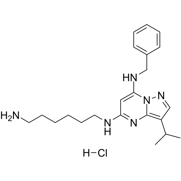 BS-181 hydrochlorideͼƬ