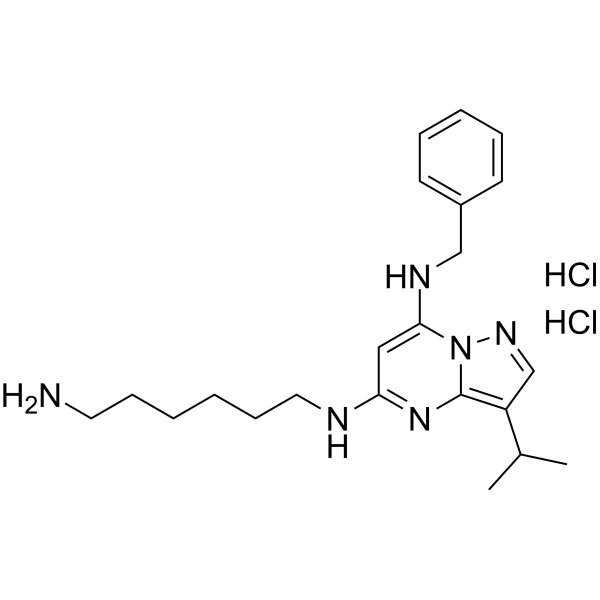 BS-181 dihydrochlorideͼƬ