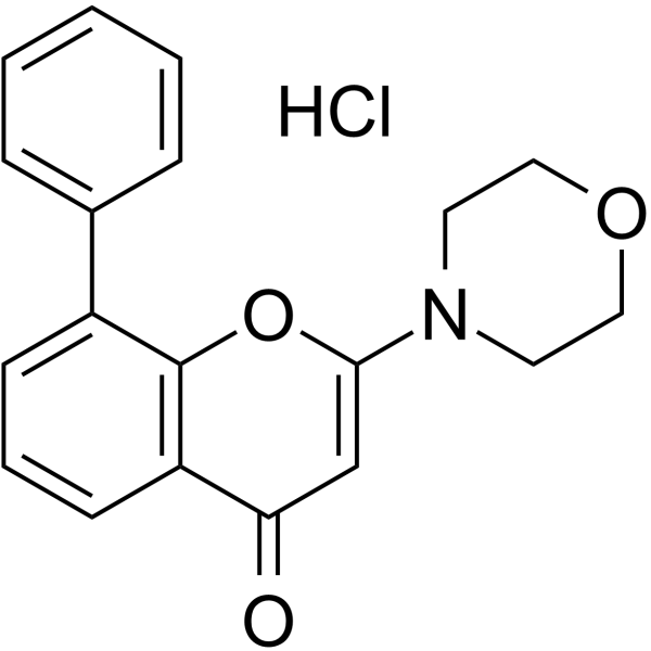 LY294002 hydrochlorideͼƬ