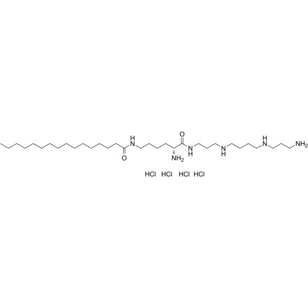 AMXT-1501 tetrahydrochlorideͼƬ