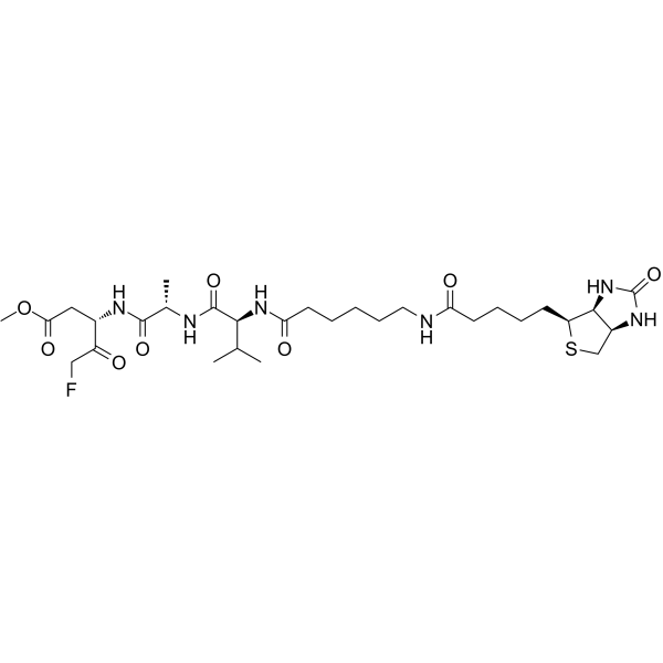 Biotin-VAD-FMK图片