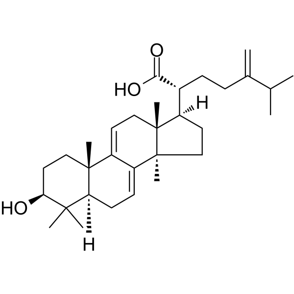 Dehydrotrametenolic acid图片