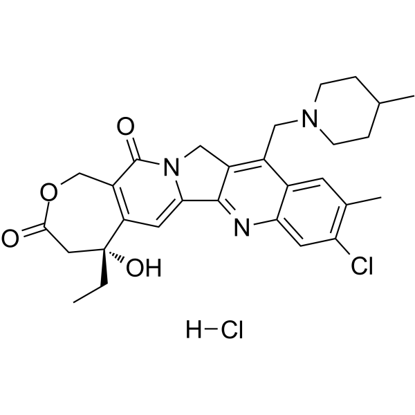 Elomotecan hydrochloride图片