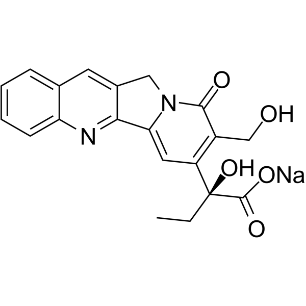 Sodium CamptothecinͼƬ