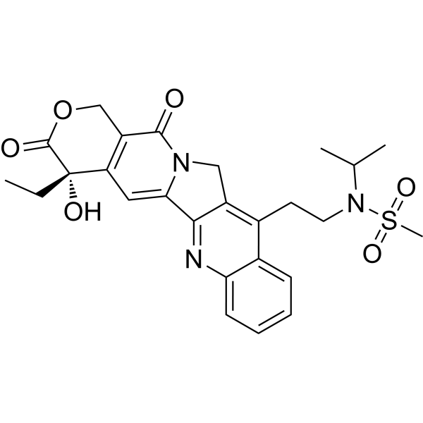 T01-1ͼƬ