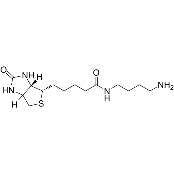 Biotin-C4-amide-C5-NH2ͼƬ