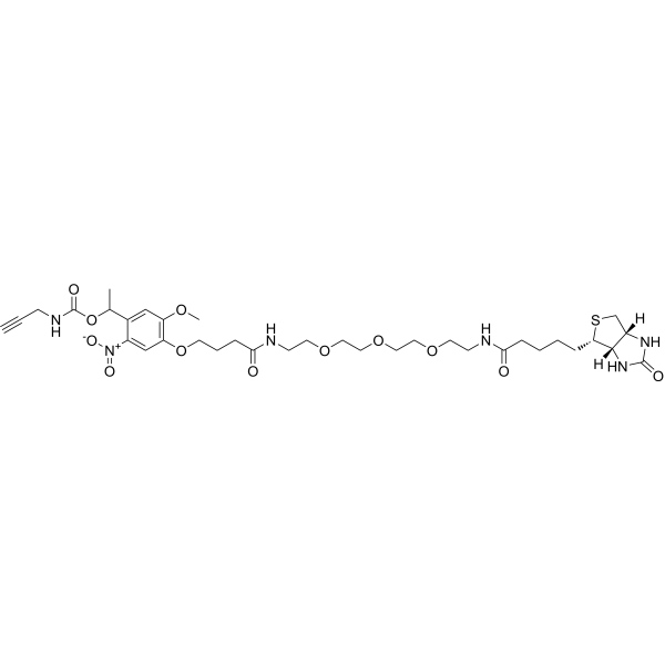 PC Biotin-PEG3-AlkyneͼƬ