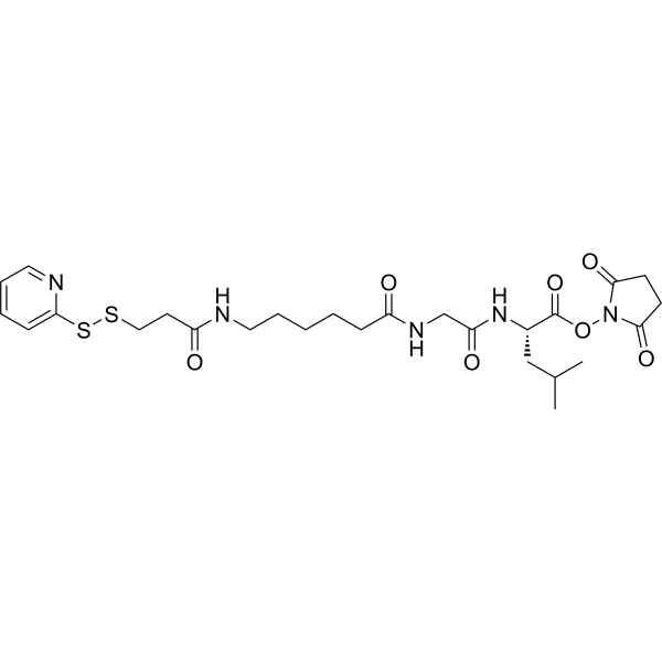 SPDP-C6-Gly-Leu-NHS esterͼƬ