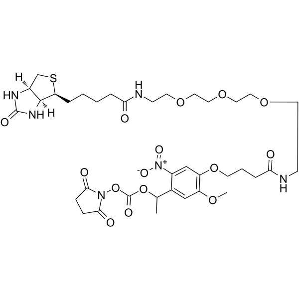 PC Biotin-PEG3-NHS esterͼƬ