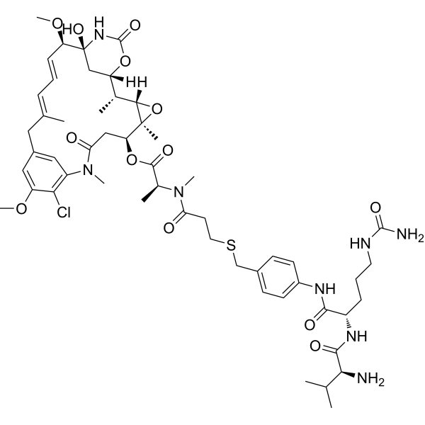 vc-PABC-DM1ͼƬ