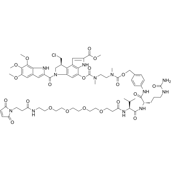 Mal-PEG4-VC-PAB-DMEA-Seco-Duocarmycin SAͼƬ