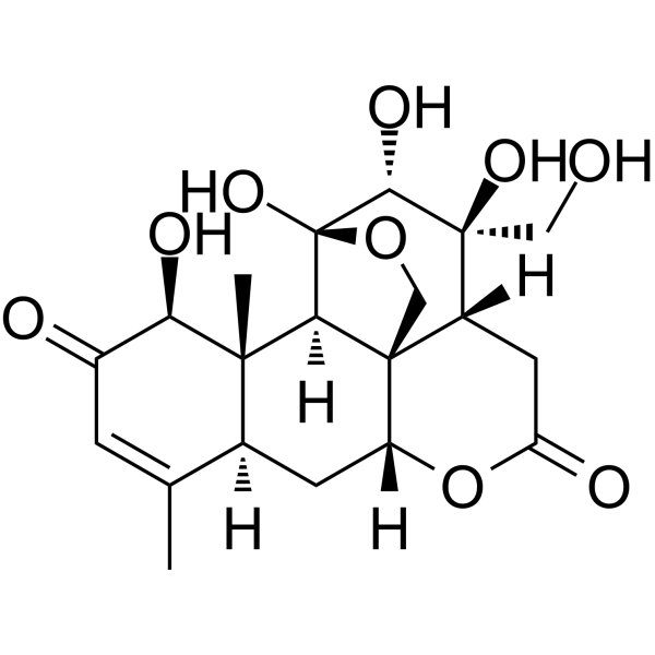 Shinjulactone MͼƬ