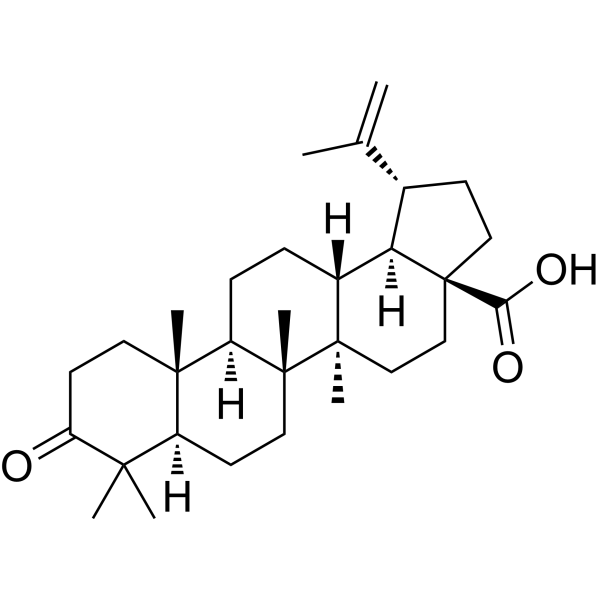 Betulonic acidͼƬ