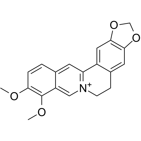 Berberine图片