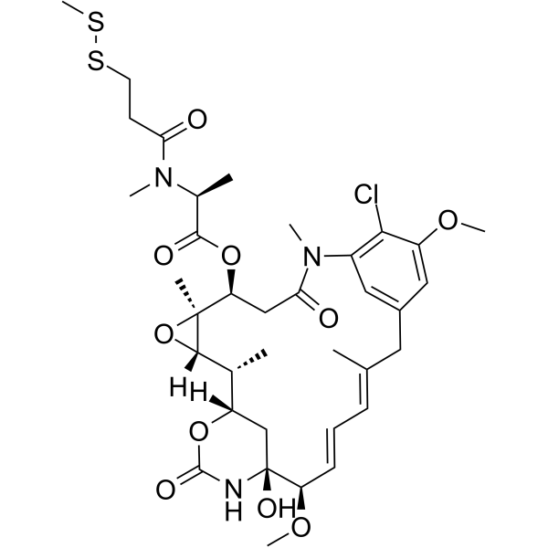 DM1-SMeͼƬ