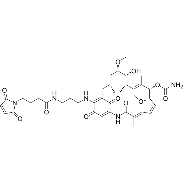 17-GMB-APA-GAͼƬ