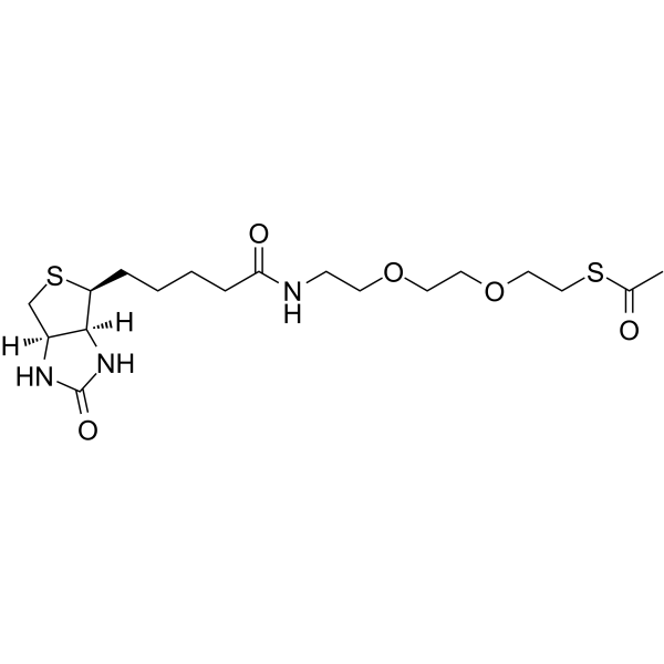 Biotin-PEG2-methyl ethanethioateͼƬ