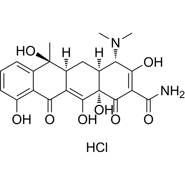 Tetracycline HydrochlorideͼƬ