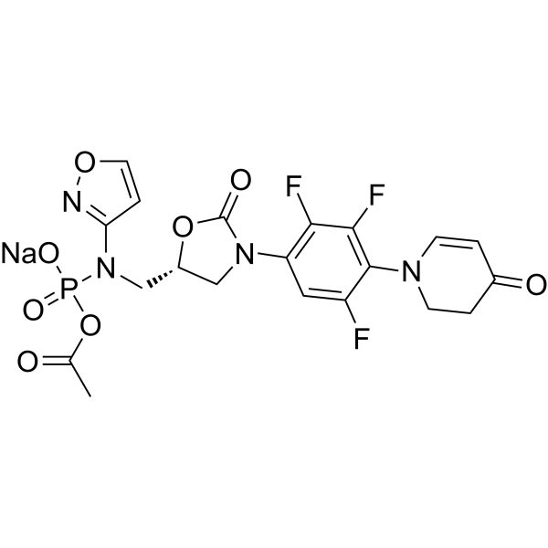 Contezolid acefosamil sodiumͼƬ