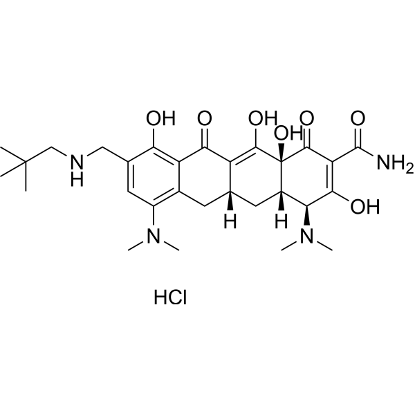 Omadacycline hydrochloride图片