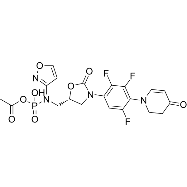 Contezolid acefosamilͼƬ