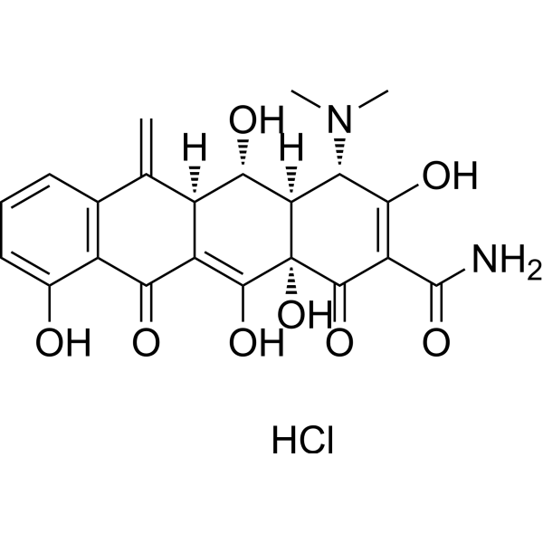 Methacycline hydrochlorideͼƬ