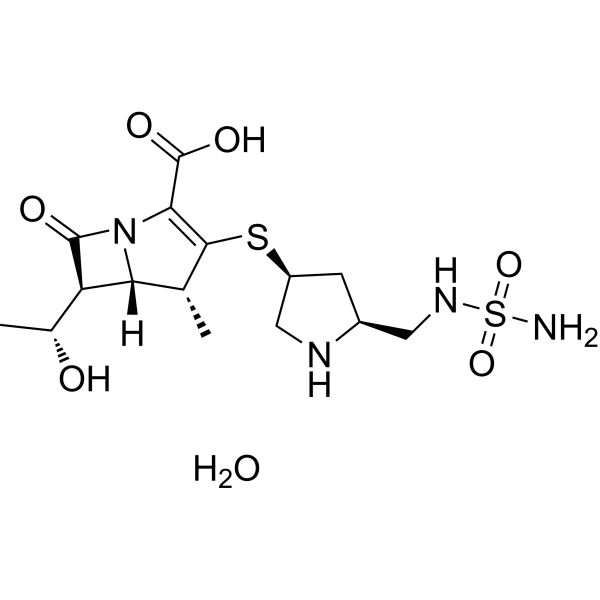 Doripenem monohydrate图片