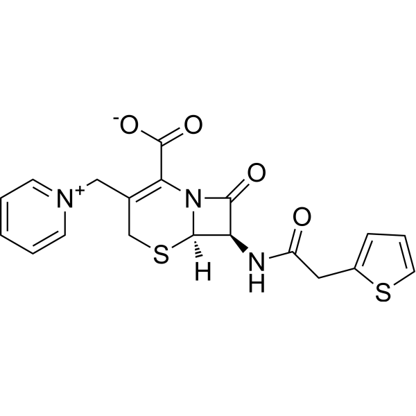 CephaloridineͼƬ