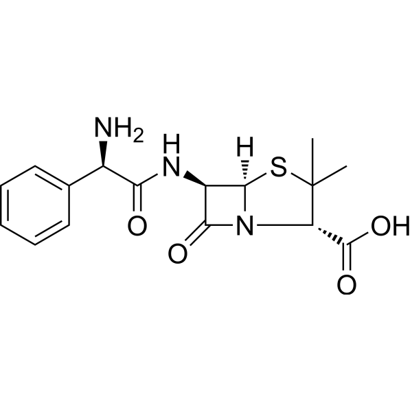 Ampicillin图片