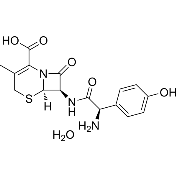 Cefadroxil hydrateͼƬ